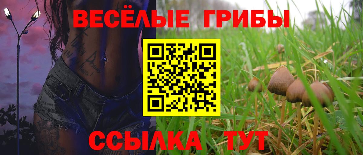 Псилоцибиновые грибы ЛСД  Вход с VPN  продажа наркотиков  Сарапул 